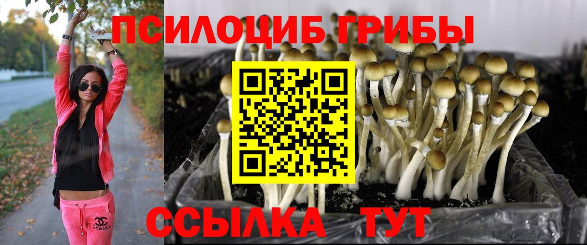 Галлюциногенные грибы GOLDEN TEACHER Коммунар